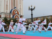 Фестиваль боевых искусств 2012