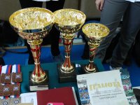 Открытый Кубок города Благовещенска по тхэквондо ВТФ