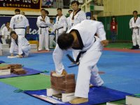 Международные Чемпионаты по Тхэквондо, Корея 2013