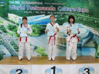 8 международный турнир «Taekwondo Culture Expo»