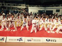 Международные Чемпионаты по Тхэквондо, Корея 2016