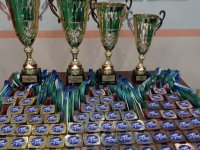 4-й турнир «Кубок главы Хабаровского района по тхэквондо ВТФ»