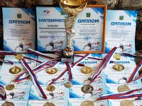 Кубок Главы Комсомольского муниципального района по тхэквондо ВТФ